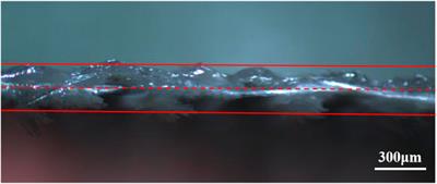Preparation and curing process optimization of an asymmetric impregnated vacuum bag-only prepreg